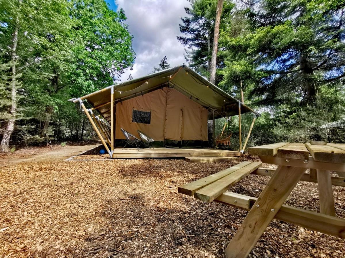 Glamping In Nature By Outdoors Holten Exteriér fotografie