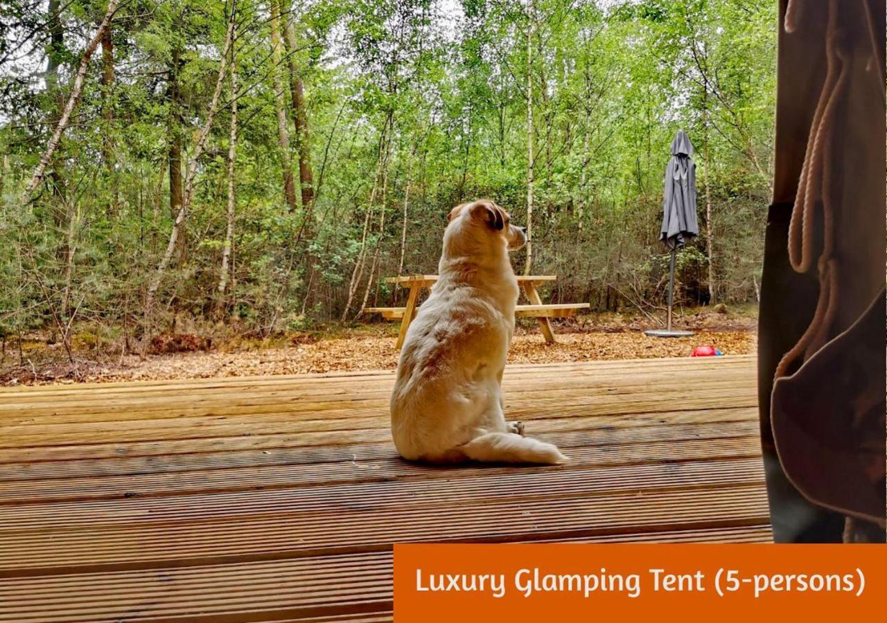 Glamping In Nature By Outdoors Holten Exteriér fotografie